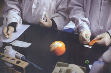 2013年3月28日，北京智云達(dá)科技有限公司食品安全快檢實(shí)驗(yàn)室，技術(shù)員正在檢測橙子表皮的農(nóng)藥殘留是否超標(biāo)